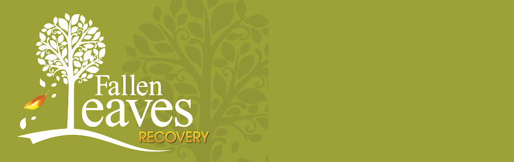 Fallen Leaves Recovery | 16805 NW 12th Ave, Miami, FL 33169