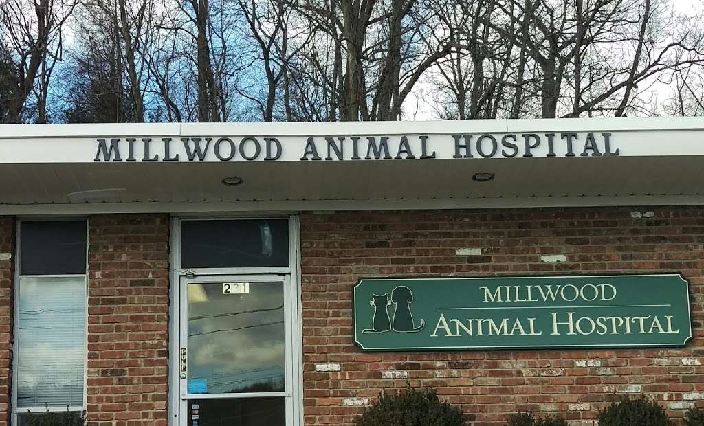 Millwood Animal Hospital | 231 Saw Mill River Rd, Millwood, NY 10546, USA | Phone: (914) 941-1801