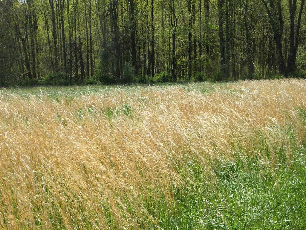 Natural Lands Peacedale Preserve | Peacedale Rd, Landenberg, PA 19350, USA | Phone: (610) 344-3443