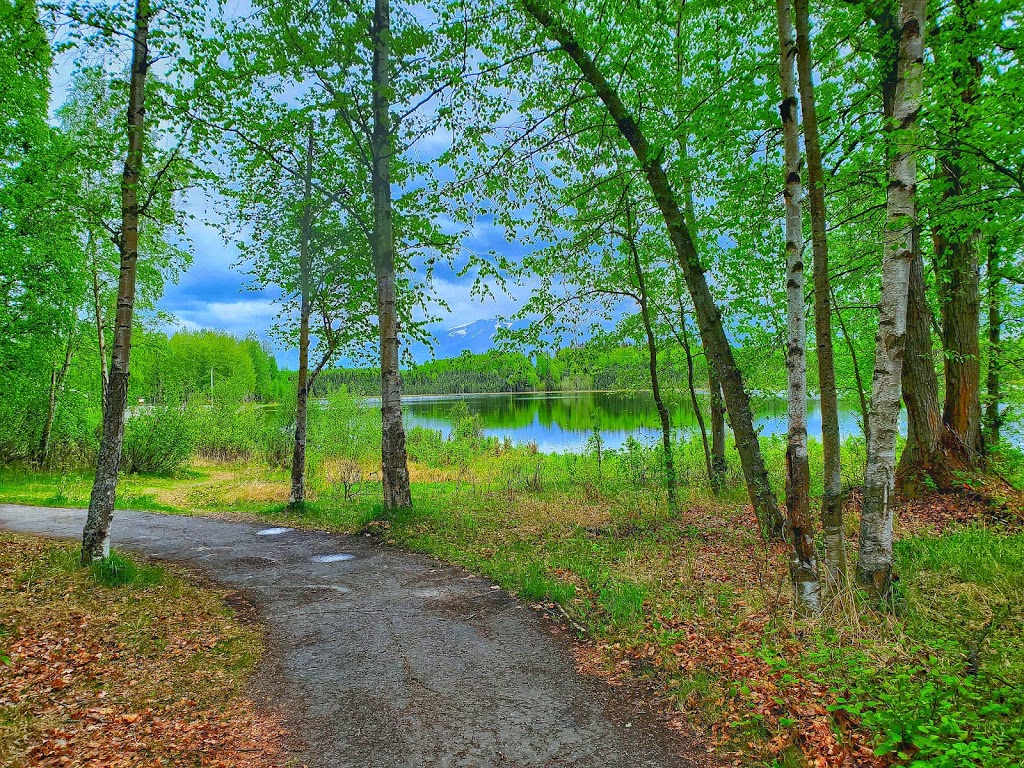 Goose Lake Park | 2811 UAA Dr, Anchorage, AK 99508, USA | Phone: (907) 343-4355