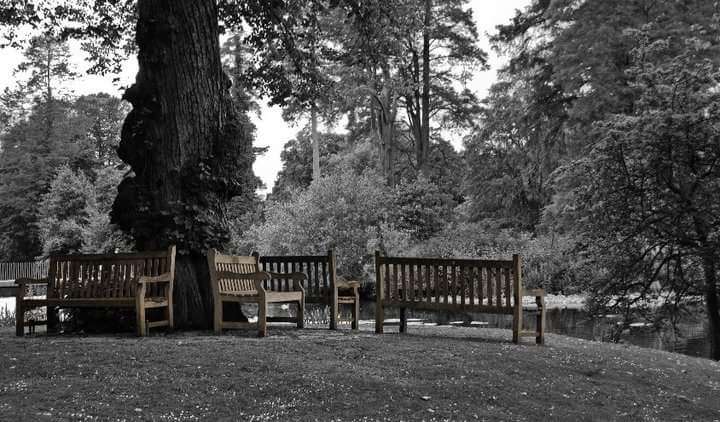 Lockerbie Memorial Bench/Oak | Richmond TW9 3AQ, UK