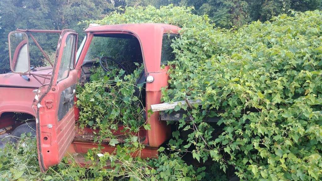 Belvoir Automotive Salvage LLC | 11354 Sperryville Pike, Culpeper, VA 22701, USA | Phone: (703) 819-8343