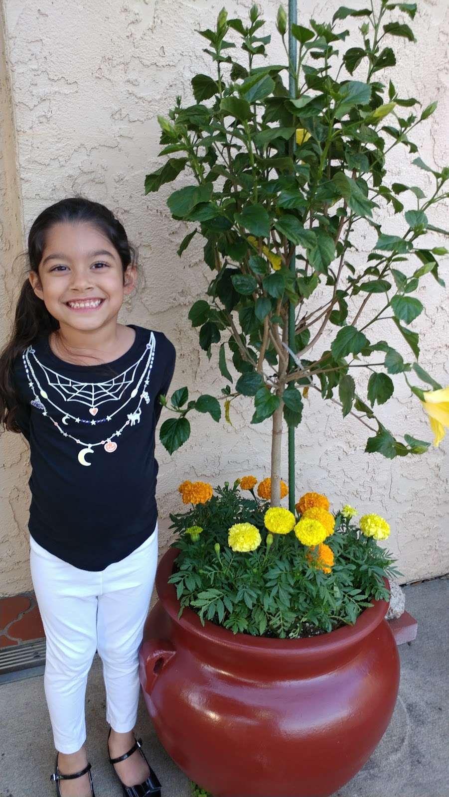 Hartman Park | 9311 E Avenue P, Houston, TX 77012, USA | Phone: (713) 928-4803