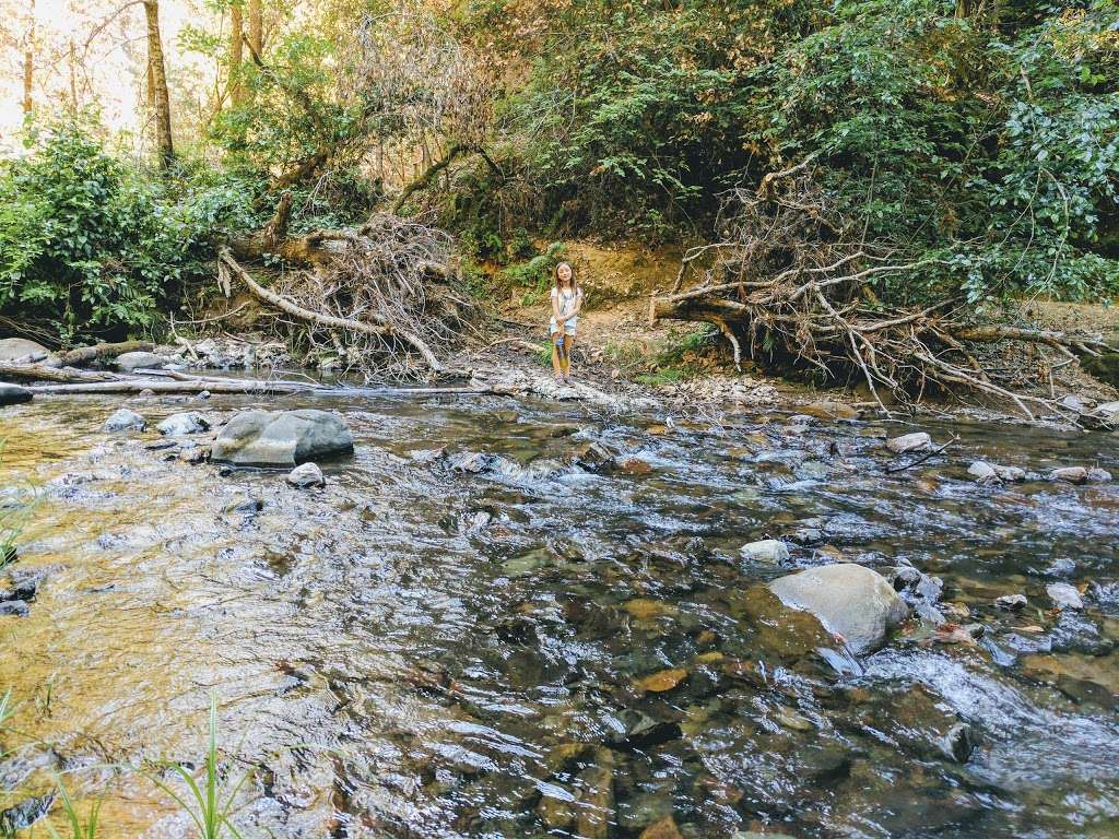 Point Group Camp, Portola Redwoods State Park | Point Group Camp Rd, La Honda, CA 94020, USA Point Group Camp, Portola Redwoods State Park | Point Group Camp Rd, La Honda, CA 94020, USA