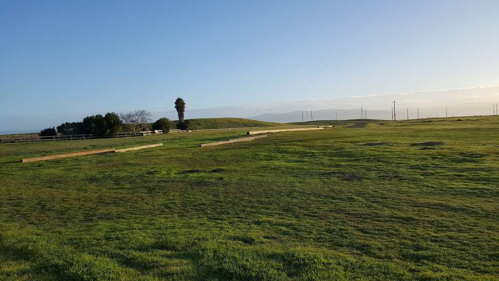 Kite Lot | N Shoreline Blvd, Mountain View, CA 94043, USA | Phone: (650) 903-6392