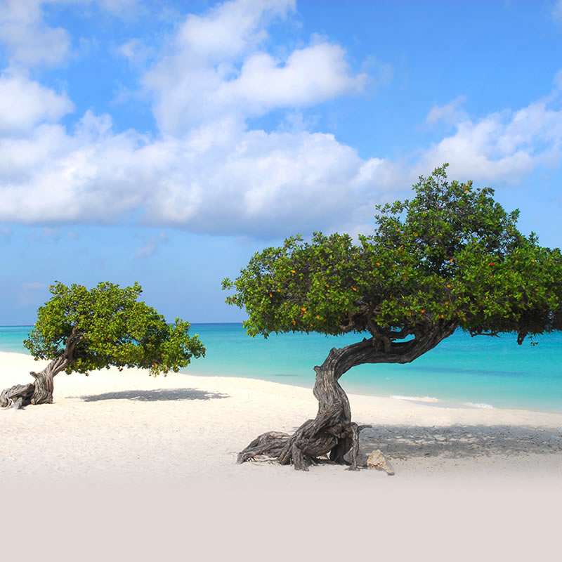 TurmanTravel - Dream Vacations | 9743 Crescent View Dr S, Boynton Beach, FL 33437, USA | Phone: (561) 810-6266