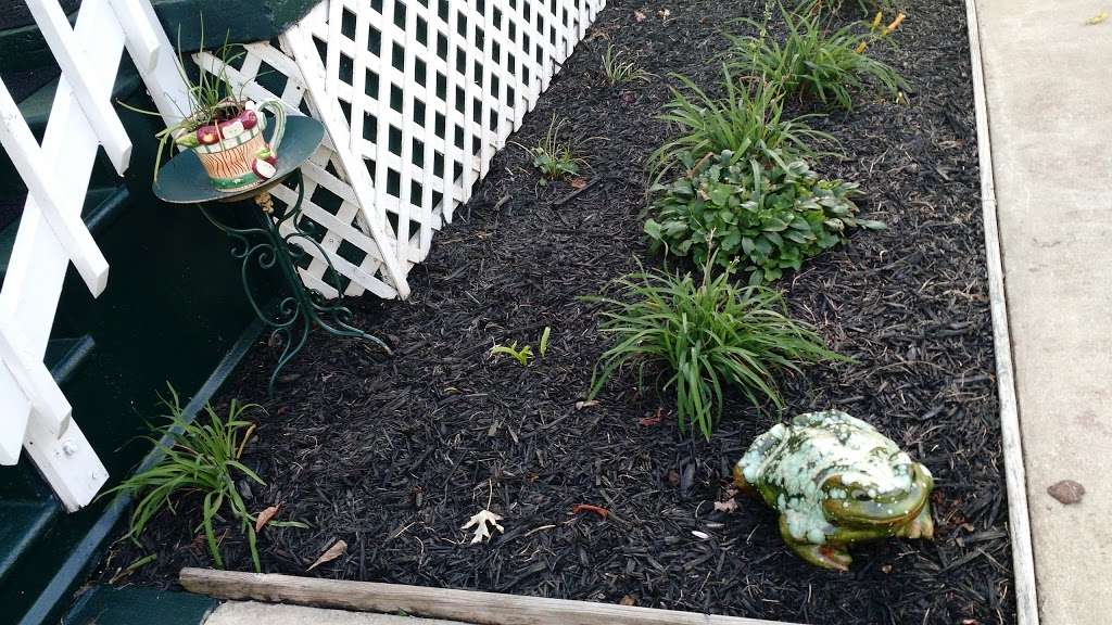 Windmill Heights Garden Center | 1901 Broad St, Culpeper, VA 22701, USA | Phone: (540) 825-2059