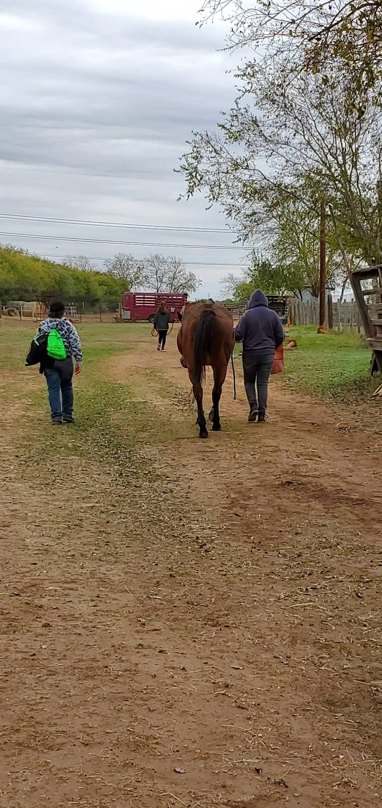 ROPER Horseback Riding | 4991 Higdon Rd, San Antonio, TX 78223, USA | Phone: (210) 860-3037