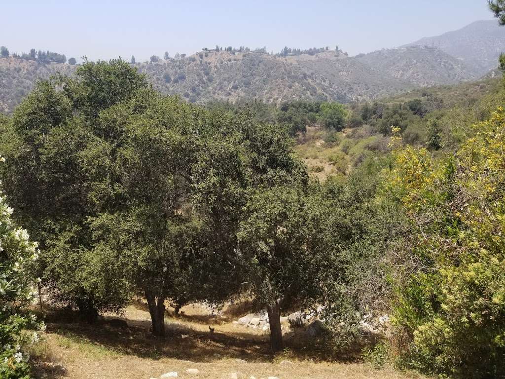 El Prieto Canyon | N Arroyo Blvd, Altadena, CA 91001, USA