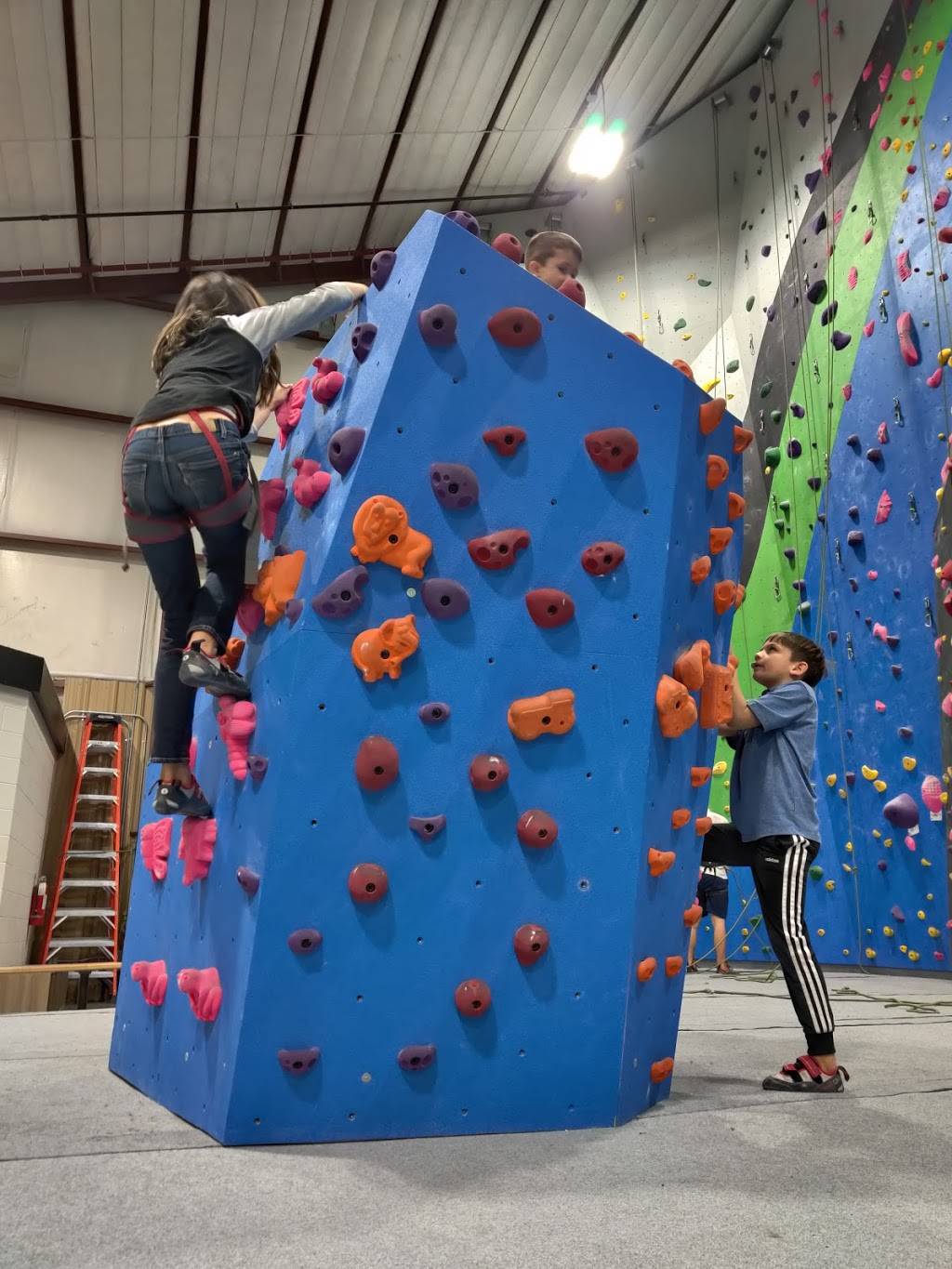 Whetstone Climbing | 220 Smokey St, Fort Collins, CO 80525, USA | Phone: (970) 795-8356