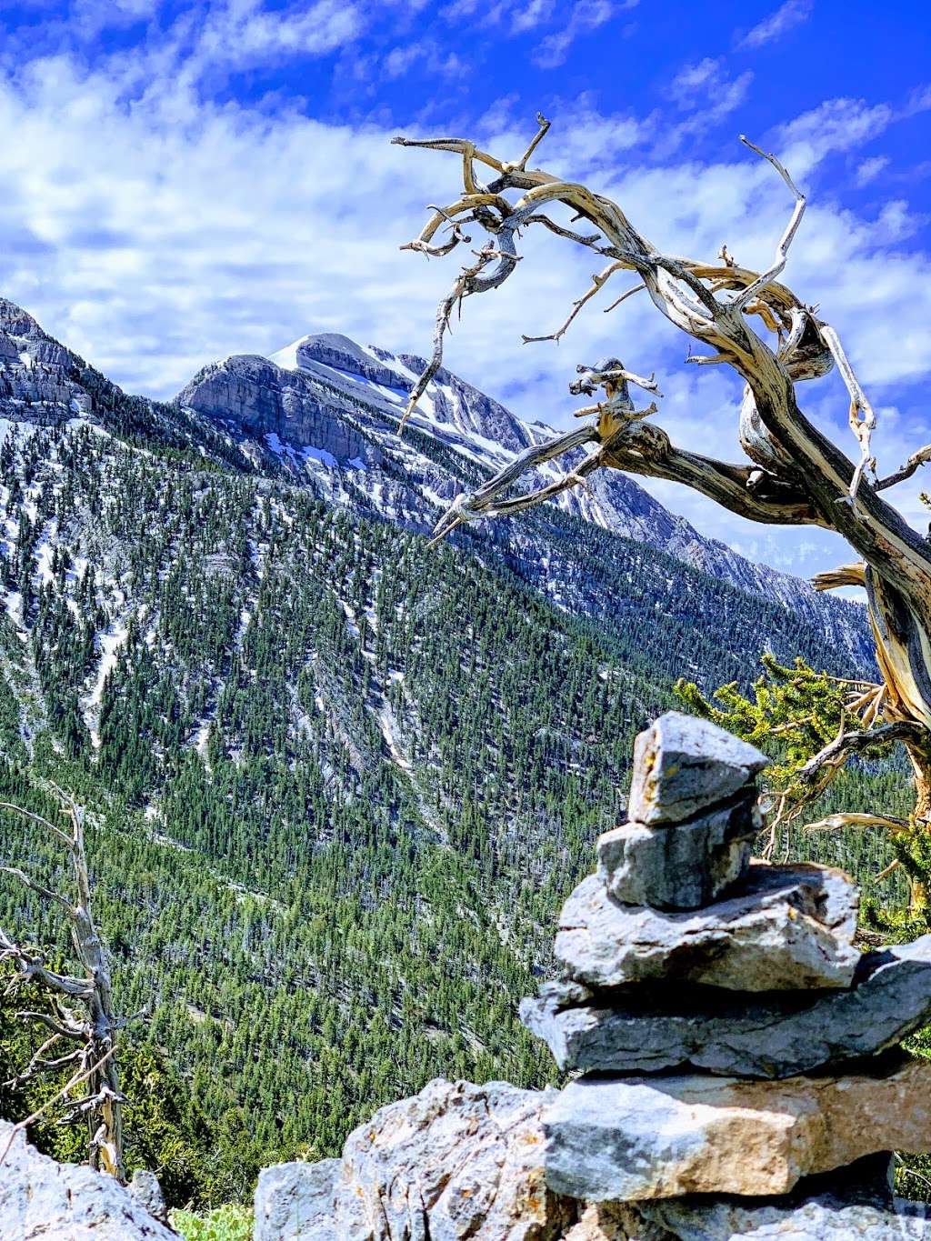 Upper Bristlecone Trail Head | Bristlecone Trail, Las Vegas, NV 89124, USA