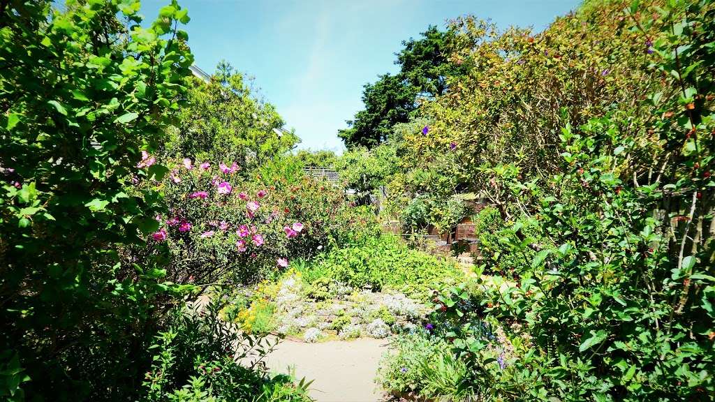 Garden for the Environment | 1590 7th Ave, San Francisco, CA 94122, USA | Phone: (415) 558-8246