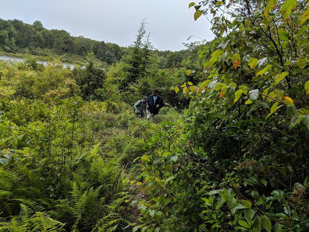 Appalachian Trail | Unnamed Road, Layton, NJ 07851