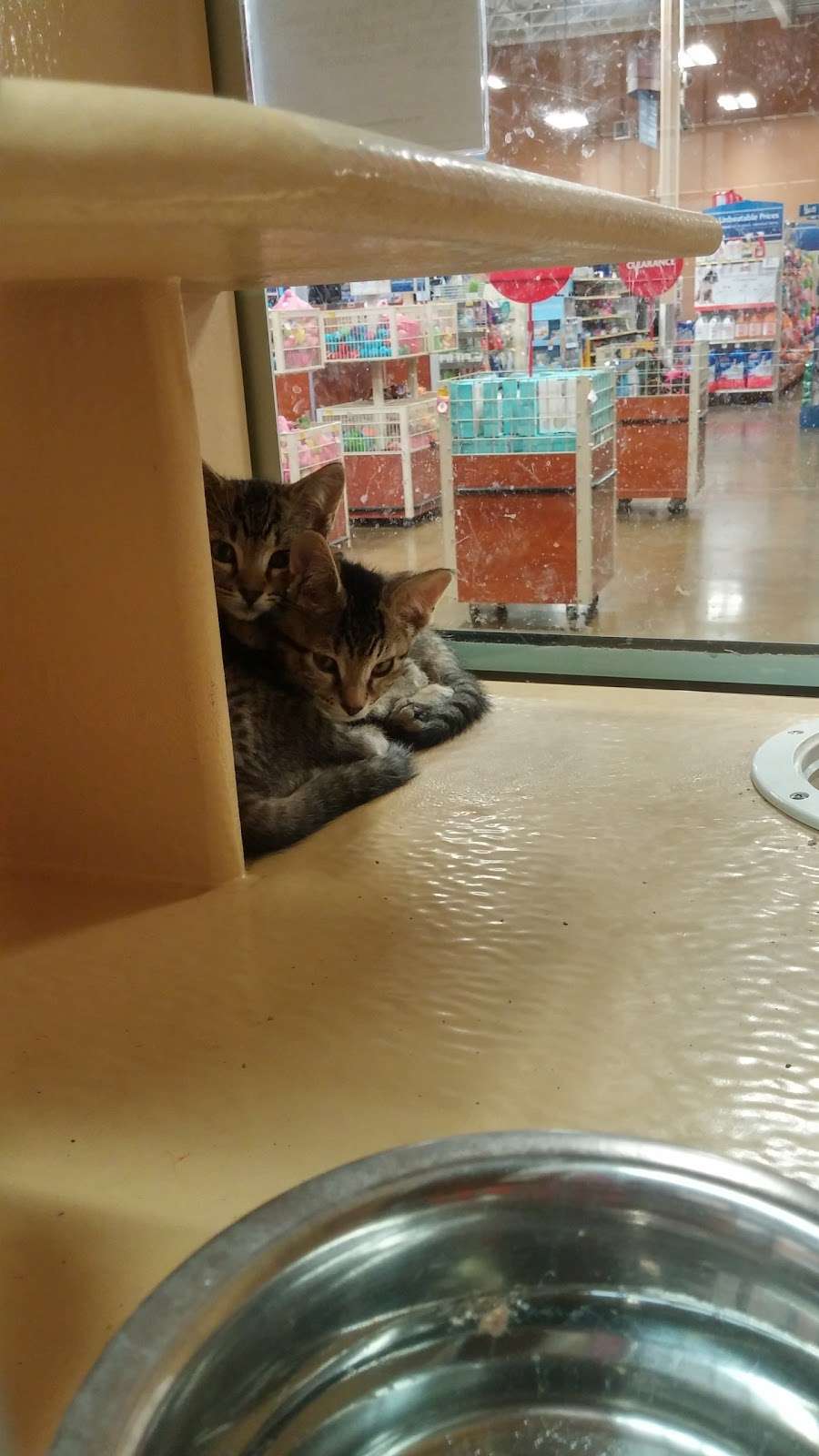 PetSmart | 1380 Fitzgerald Dr, Pinole, CA 94564 | Phone: (510) 964-3564