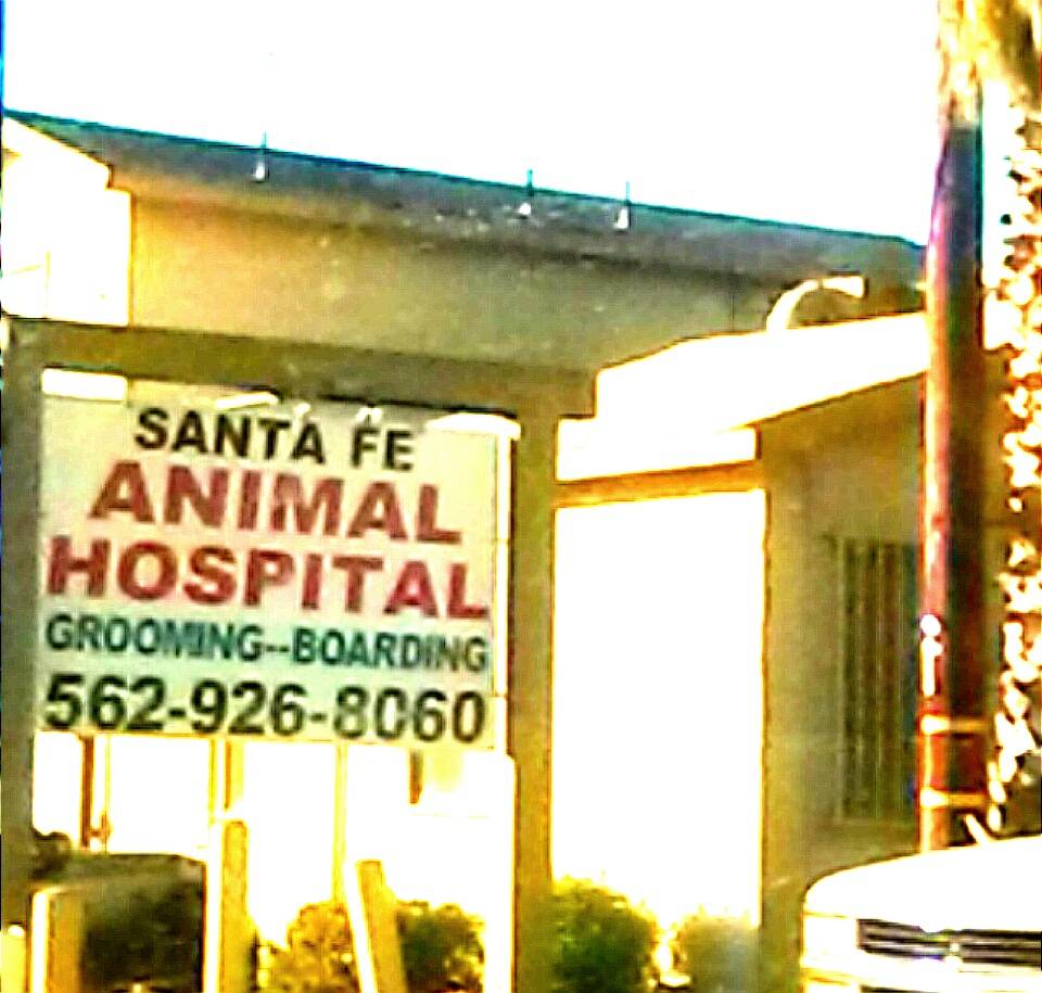 Animal Hospital Santa Fe | 13451 Rosecrans Ave, Santa Fe Springs, CA 90670, USA | Phone: (562) 926-8060