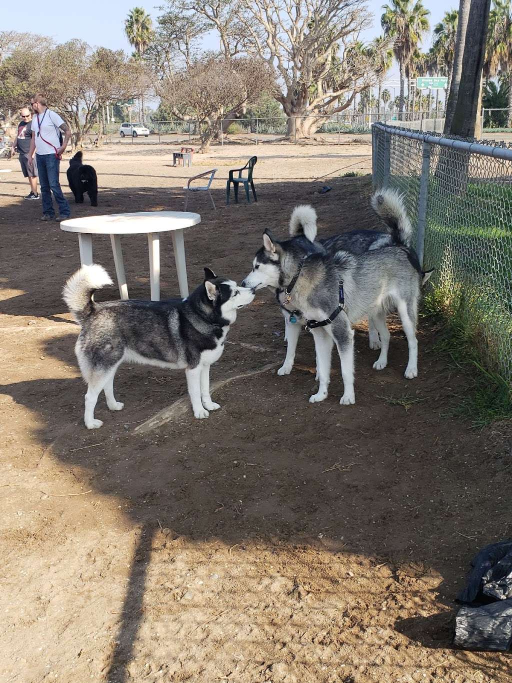 Dog Park | Soto St, San Diego, CA 92107, USA