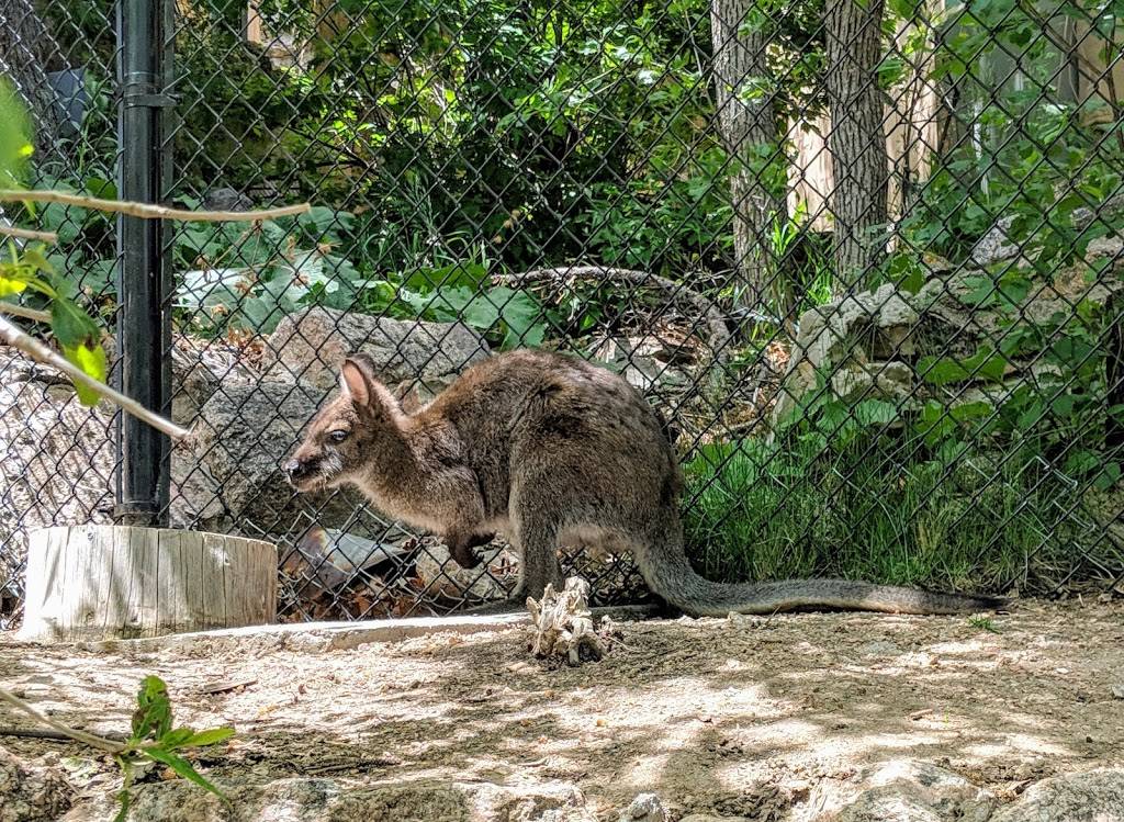 Cheyenne Mountain Zoo | 4250 Cheyenne Mountain Zoo Rd, Colorado Springs, CO 80906, USA | Phone: (719) 633-9925