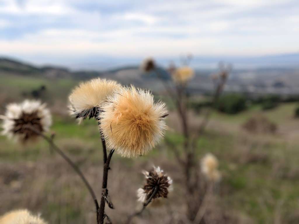 Ridge Trail | Ridge Trail, Vallejo, CA 94591, USA