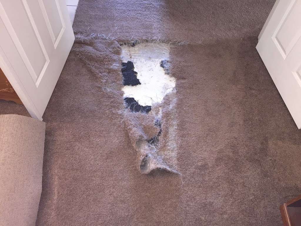 New Jersey Carpet Repair | 194 Drum Point Rd, Brick, NJ 08723, USA | Phone: (201) 921-9661