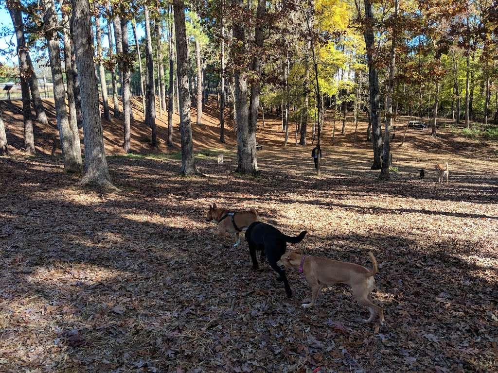 CANINE COMMONS DOG PARK | 181 Country Lake Dr, Pineville, NC 28134 | Phone: (704) 889-2400