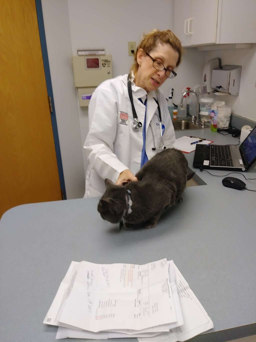 Thoreau Veterinary Hospital | 3300 Fox Hill Rd, Easton, PA 18045, USA | Phone: (610) 559-0728