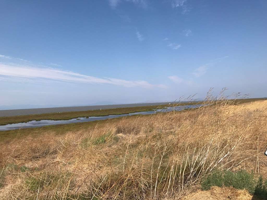 Mare Island San Pablo Bay Hiking Trail | Vallejo, CA 94592, USA