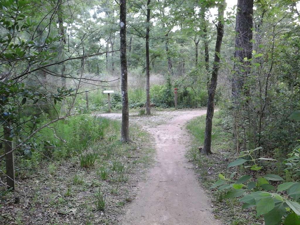 Trail Head Memorial Park | Purple Trail (Easy), Houston, TX 77007, USA