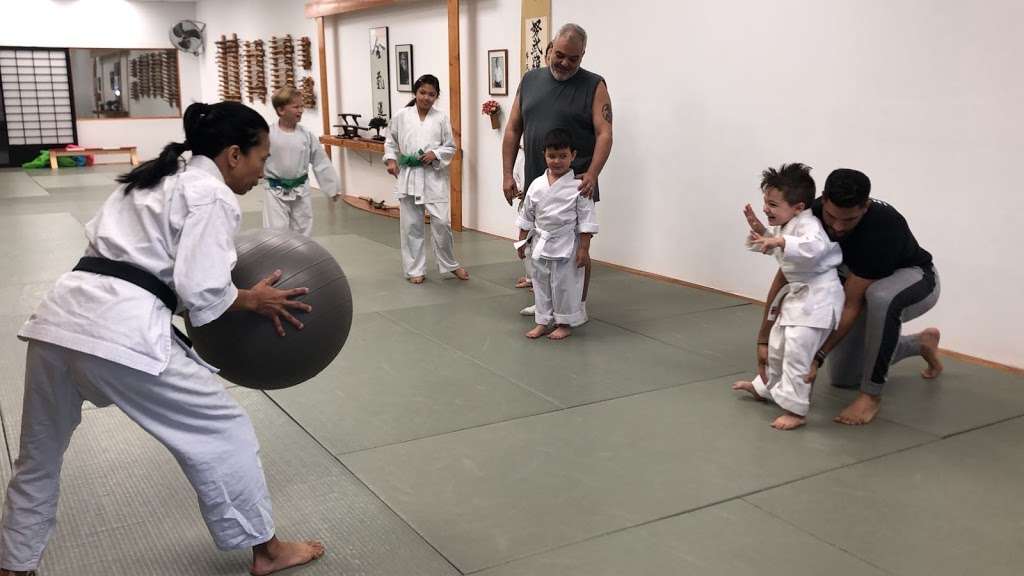 Aikido of Gold Coast Aikikai | 8482 SW 8th St, Miami, FL 33144, USA | Phone: (305) 264-1773