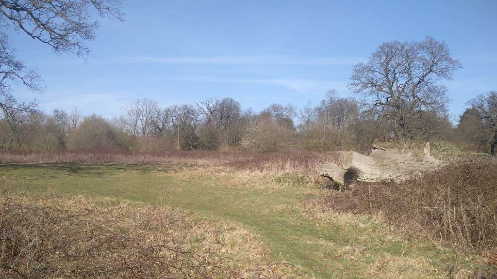 Darlands Lake Nature Reserve | London N20 8PY, UK