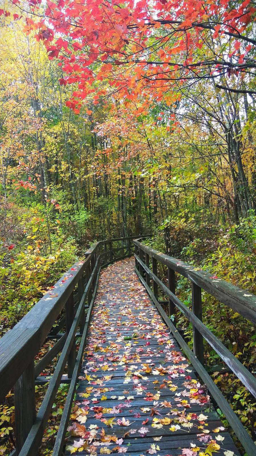 Great Swamp | Great Swamp Rd, Basking Ridge, NJ 07920, USA