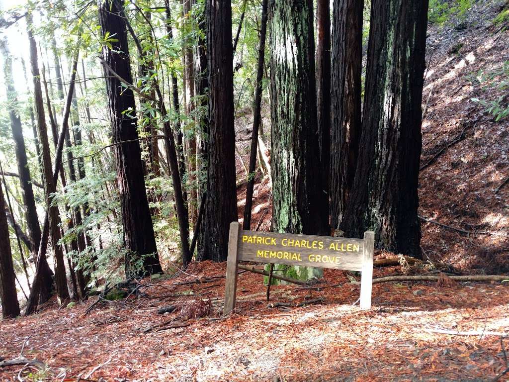 Patrick Charles Allen Memorial Grove | Saratoga Gap Trail, Los Gatos, CA 95033