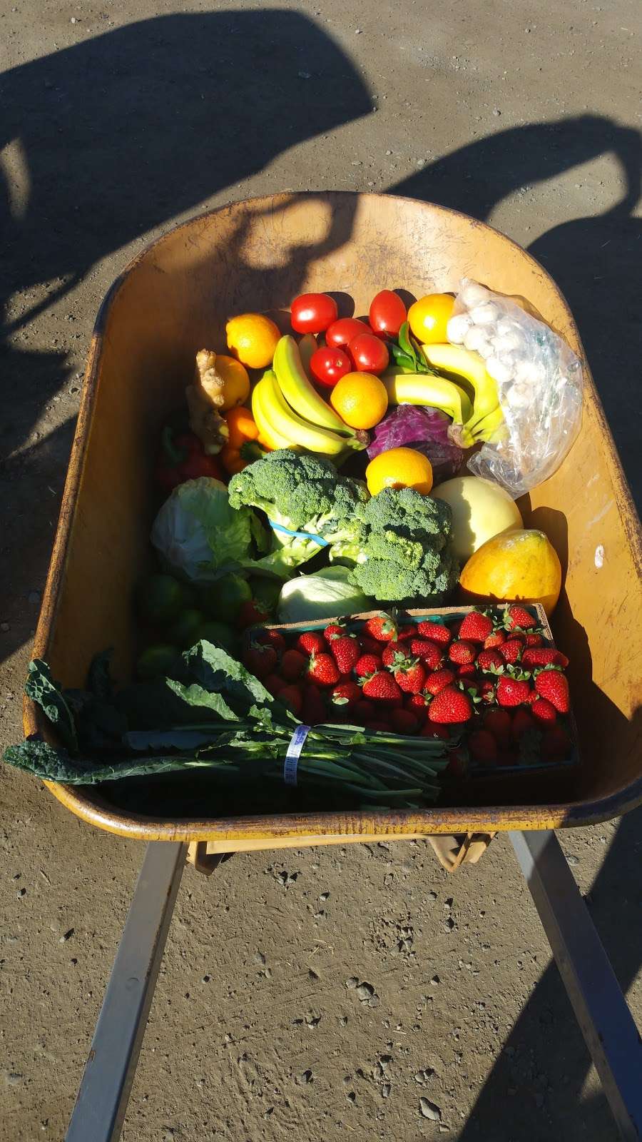 Larrys Produce | 4606 Suisun Valley Rd, Fairfield, CA 94534, USA | Phone: (707) 864-8068