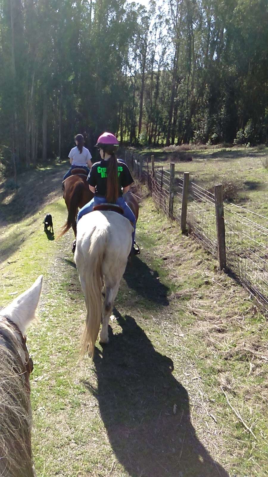 Horse N Around Trail Rides | 18797 CA-1, Bodega Bay, CA 94923, USA | Phone: (707) 875-3333