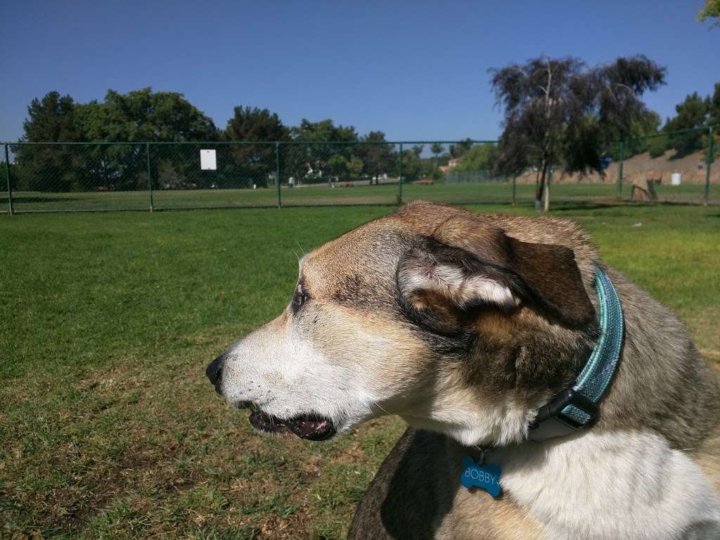 Springville Dog Park | 709 Via Zamora, Camarillo, CA 93010, USA | Phone: (805) 482-1996