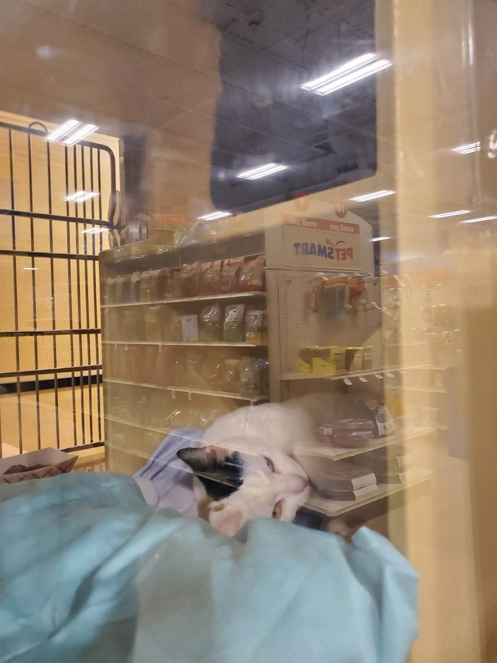 PetSmart | 358 Broadway, Saugus, MA 01906, USA | Phone: (781) 941-2920