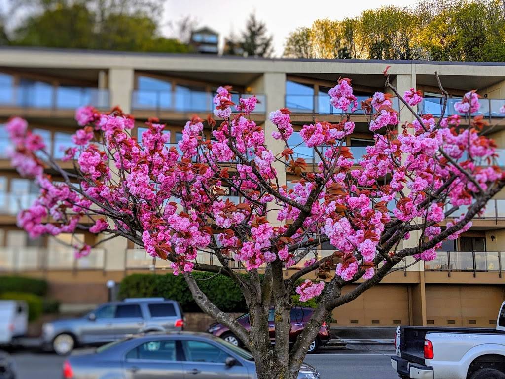 Don Armeni Boat Ramp | 1222 Harbor Ave SW, Seattle, WA 98116, USA | Phone: (206) 684-7249