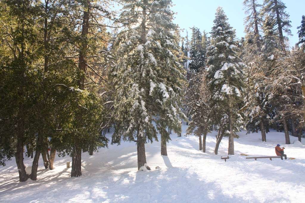 Appletree Campground | Big Pines Hwy, Big Pines, CA 93513, USA | Phone: (626) 574-1613