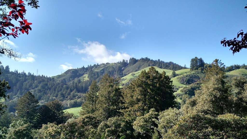 La Honda Creek Open Space Preserve | Redwood City, CA 94062, USA | Phone: (650) 691-1200