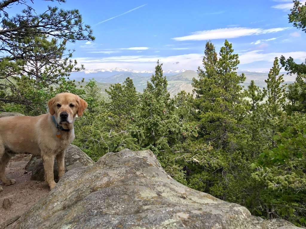 Meyers Gulch Trailhead | 6532 Flagstaff Rd, Boulder, CO 80302, USA