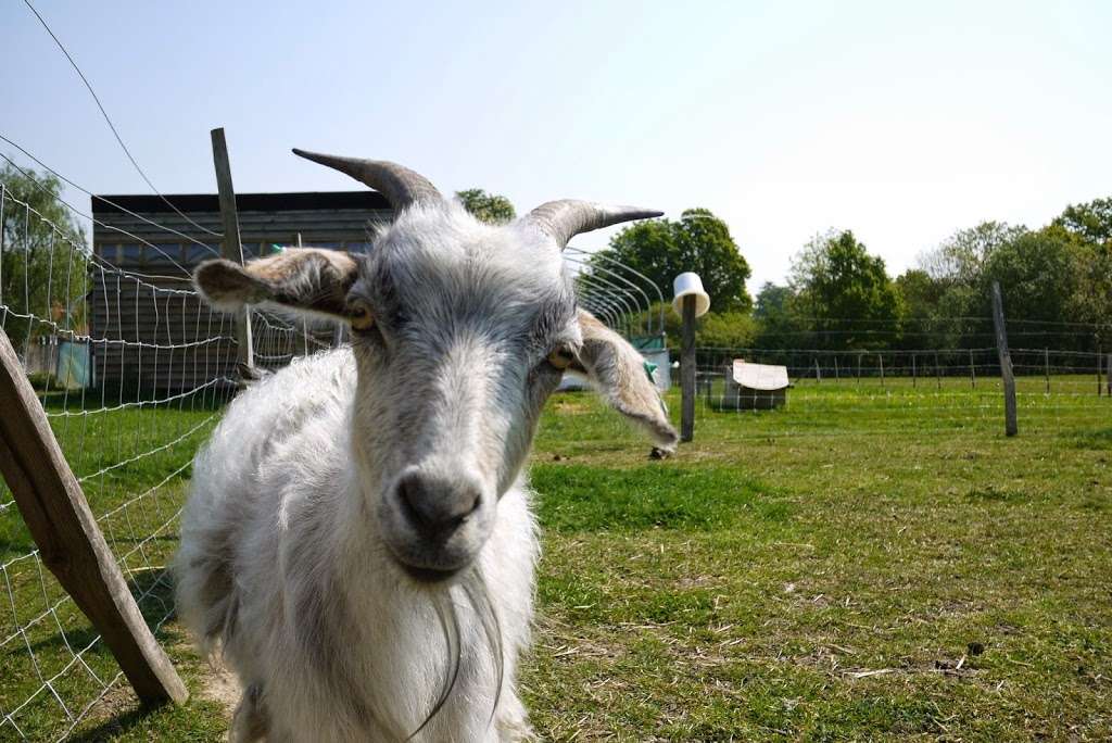 Market Gardens Farm Shop | Riding Ln, Hildenborough, Tonbridge TN11 9HY, UK | Phone: 01732 668160