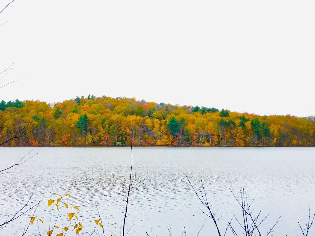 Gates Pond Reservoir Loop Trail | 99 Taylor Rd, Berlin, MA 01503, USA