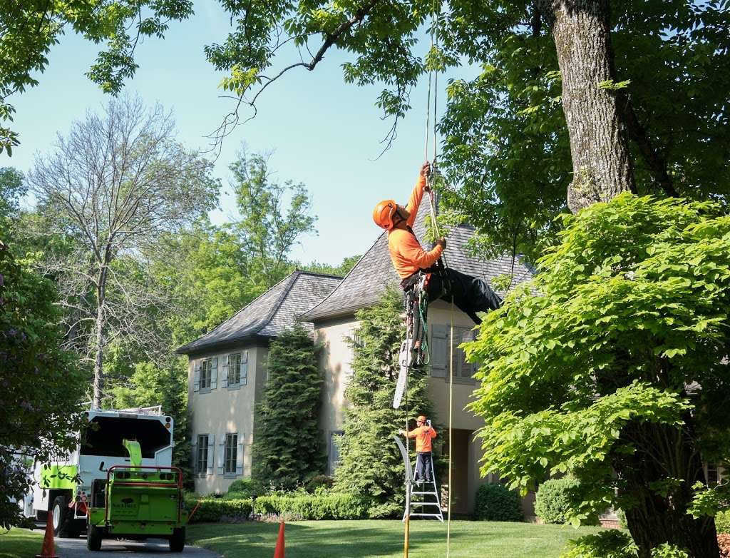 SavATree - Tree Service & Lawn Care | 20278 N Rand Rd, Palatine, IL 60074, USA | Phone: (847) 726-1991