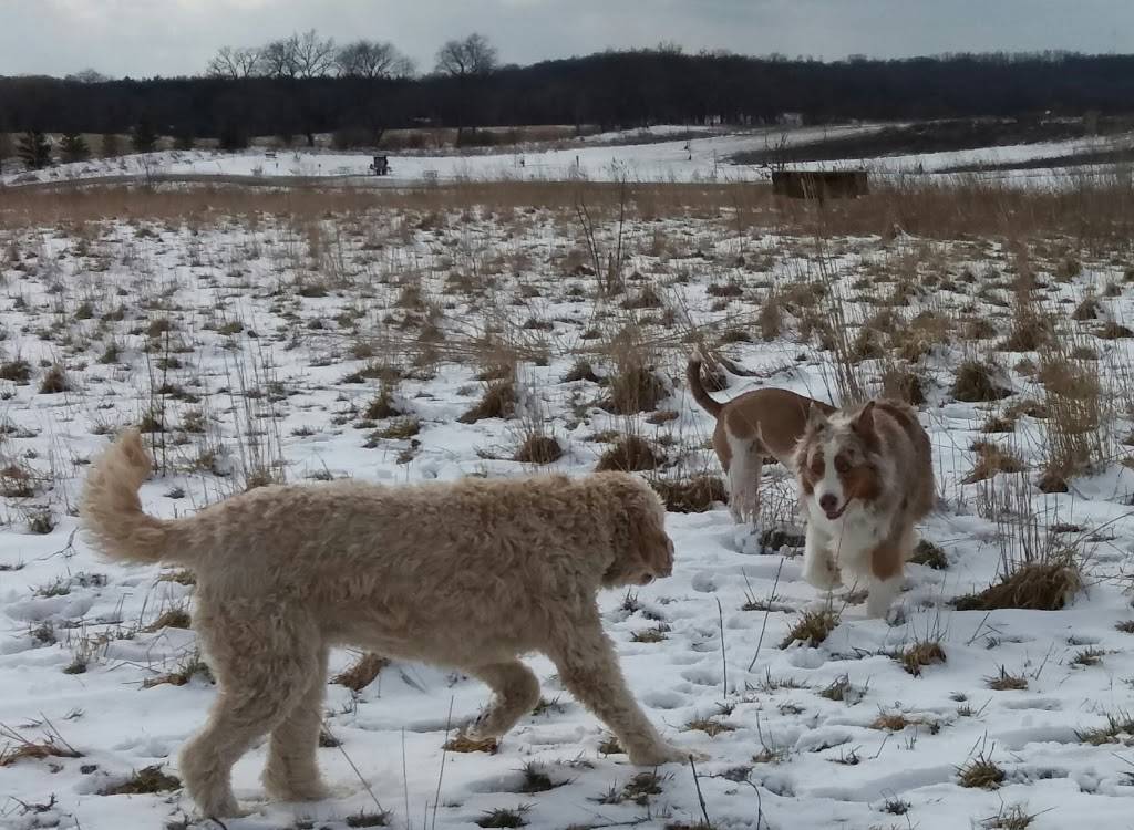 Capital Springs Dog Exercise Area | 3398 Lake Farm Rd, Madison, WI 53711, USA | Phone: (608) 224-3730