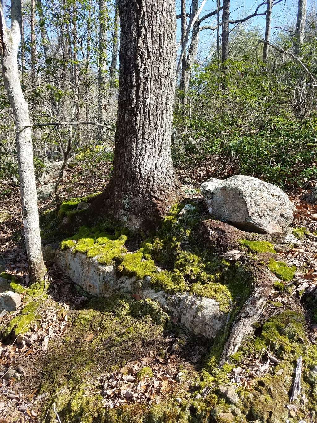 Crowders Mountain State Park - Boulders Access Area | 108 Vandyke Rd, Kings Mountain, NC 28086, USA | Phone: (704) 853-5375