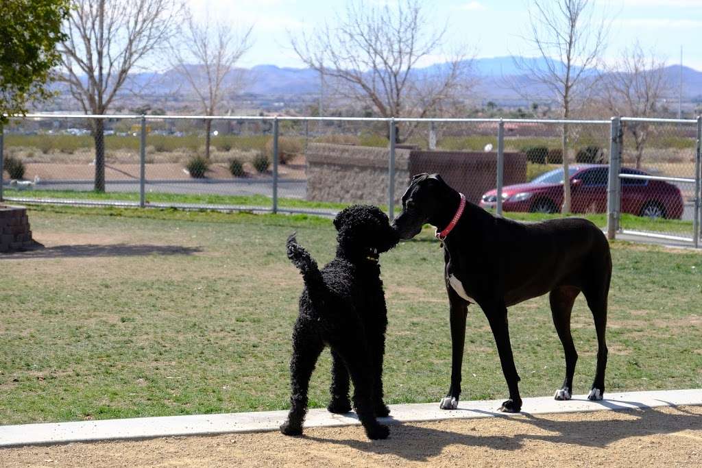 Clark County Dog Park - Desert Breeze Park | 8275 Spring Mountain Rd, Las Vegas, NV 89147, USA | Phone: (702) 455-8200