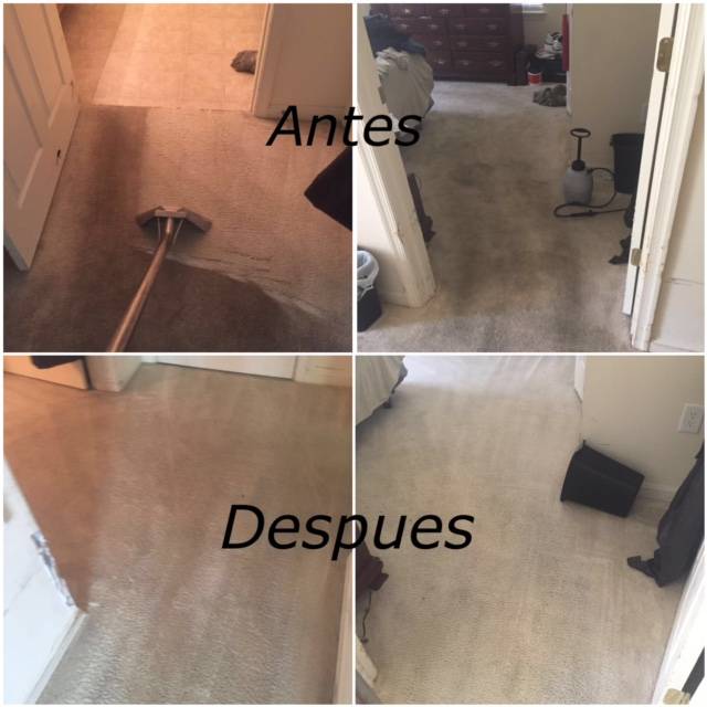 The Boss Carpet & Floor Cleaning, LLC | 2507 Exhall Ct, Chester, VA 23831, USA | Phone: (804) 922-2002