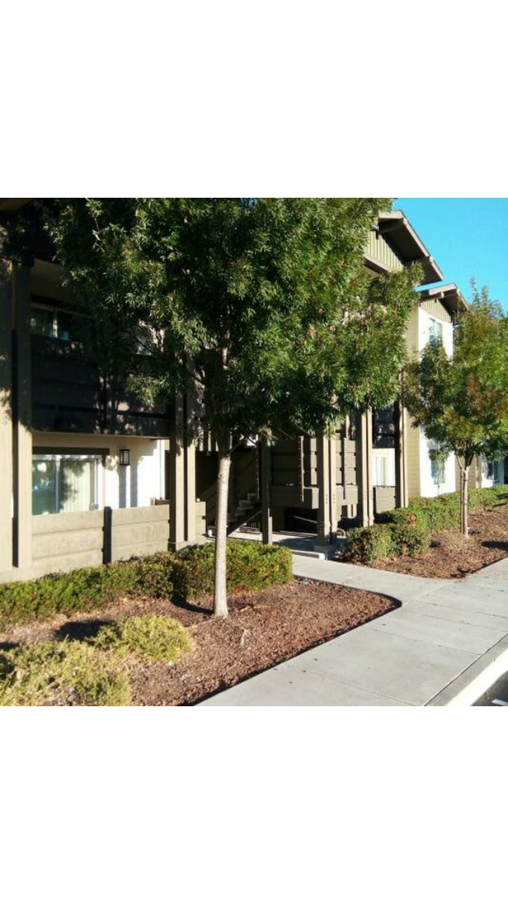 Cottonwood Creek Housing Associates | 202 Railroad Ave, Suisun City, CA 94585, USA | Phone: (707) 436-9660