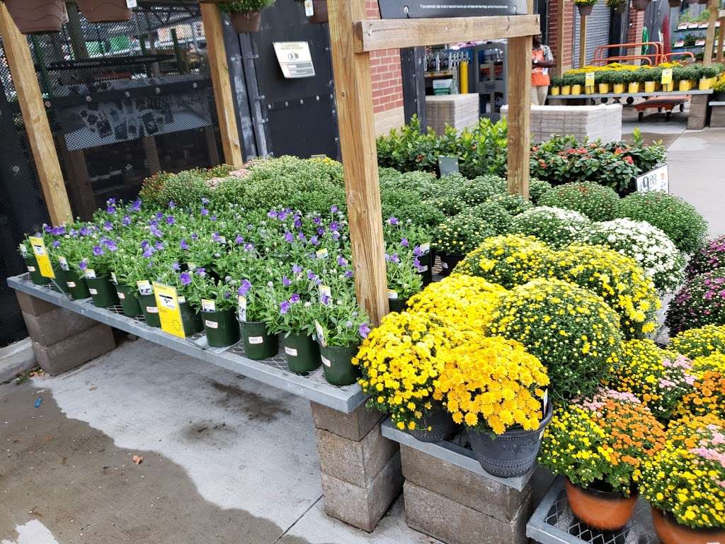 Garden Center at The Home Depot | 8400 Katy Fwy, Houston, TX 77024, USA | Phone: (713) 984-2741