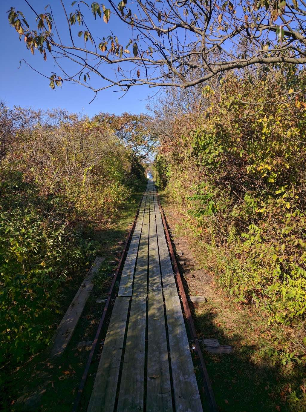 Thacher Island National Wildlife Refuge | Rockport, MA 01966, USA | Phone: (978) 465-5753