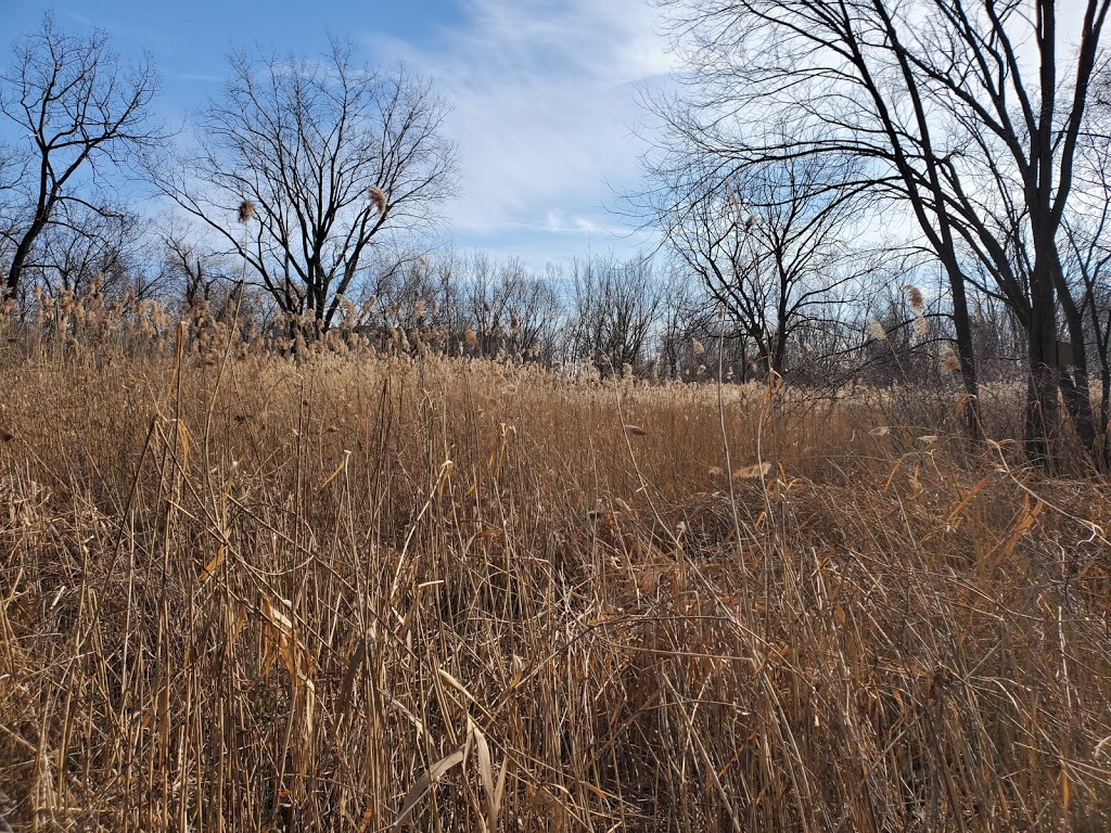 Teaneck Creek Conservancy | 20 Puffin Way, Teaneck, NJ 07666, USA | Phone: (201) 836-2403